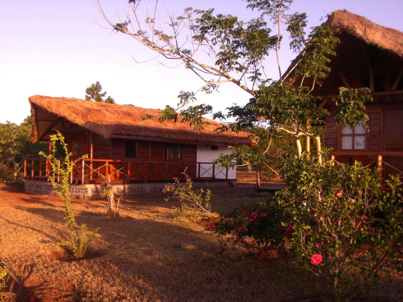 Nature Lodge Antsiranana Eksteriør billede